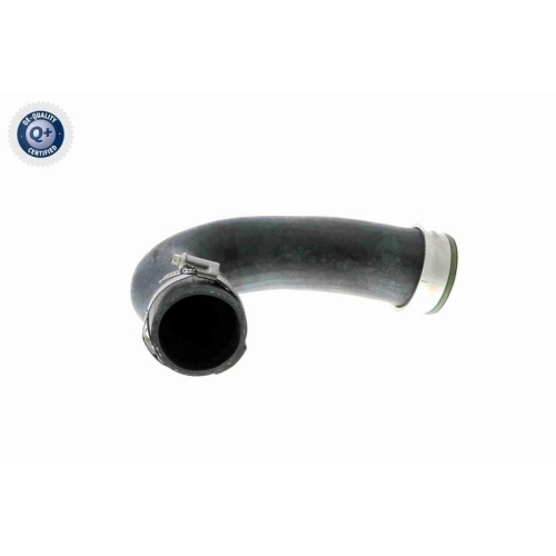 VAICO Ladeluftschlauch Q+, Erstausrüsterqualität