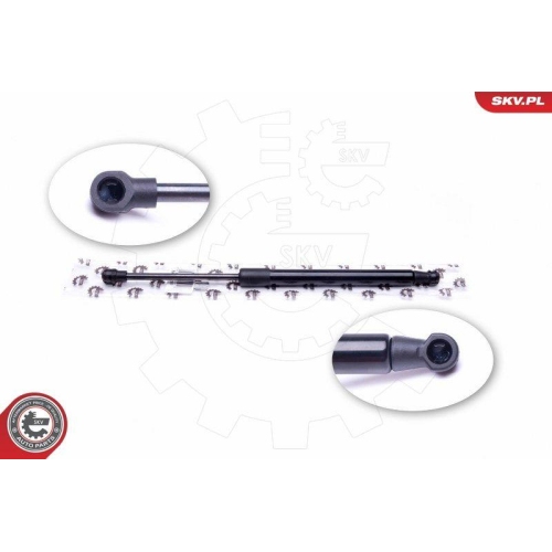 ESEN SKV Gasfeder, Koffer-/Laderaum