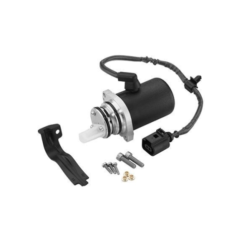 BorgWarner Pumpe, Lamellenkupplung (Allradantrieb) OE-Version/Erstausr&uuml;stung DS118622