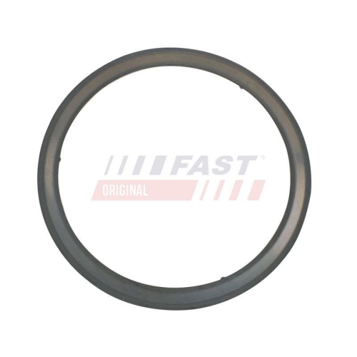 FAST Dichtung, Abgasrohr FT84595