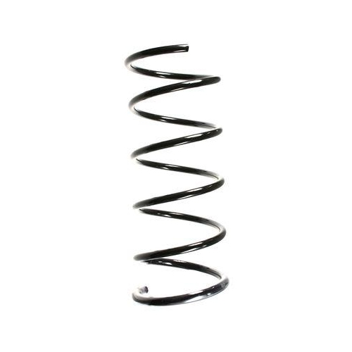 SPIDAN Fahrwerksfeder 49651