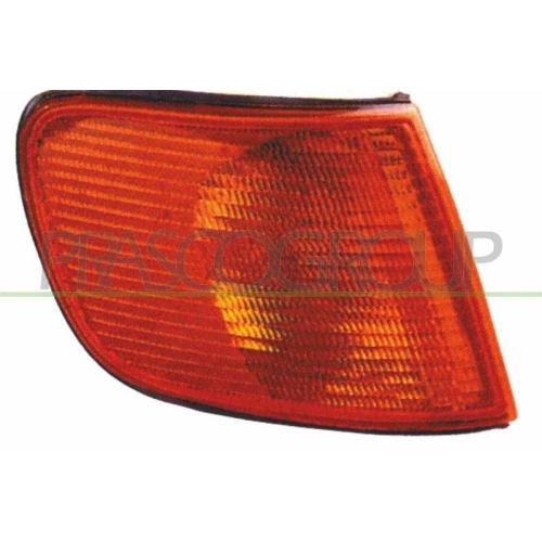 PRASCO Blinkleuchte TYC AD0294003