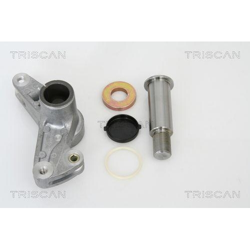 TRISCAN Reparatursatz, Spannarm (Keilrippenriemen) 8641 231011
