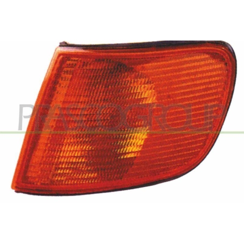 PRASCO Blinkleuchte TYC AD0294004