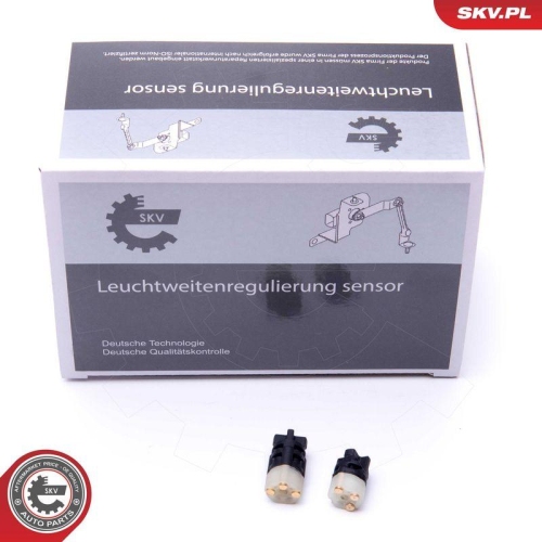 ESEN SKV Steuerger&auml;t, Automatikgetriebe 17SKV470