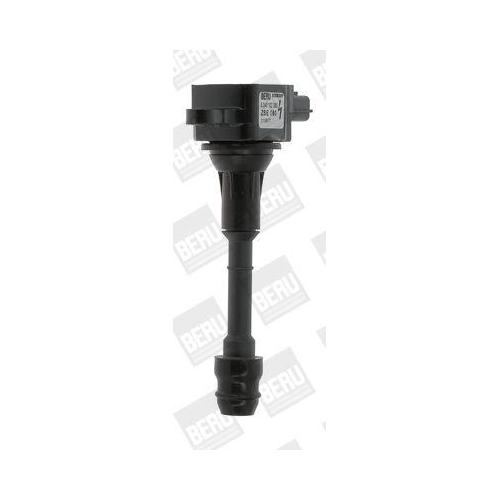 BorgWarner (BERU) Z&uuml;ndspule ZSE080