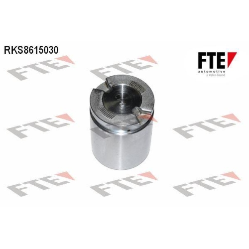 FTE Kolben, Bremssattel