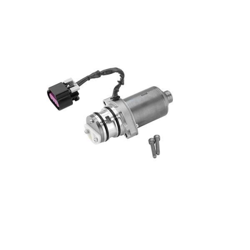 BorgWarner Pumpe, Lamellenkupplung (Allradantrieb) OE-Version/Erstausr&uuml;stung DS120878