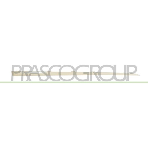 PRASCO Zier-/Schutzleiste, T&uuml;r RN7001413