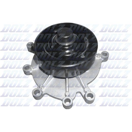 DOLZ Wasserpumpe, Motork&uuml;hlung