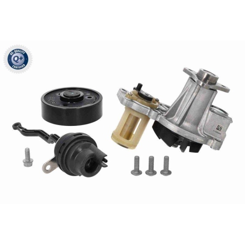 VAICO Wasserpumpe, Motorkühlung Q+, Erstausrüsterqualität