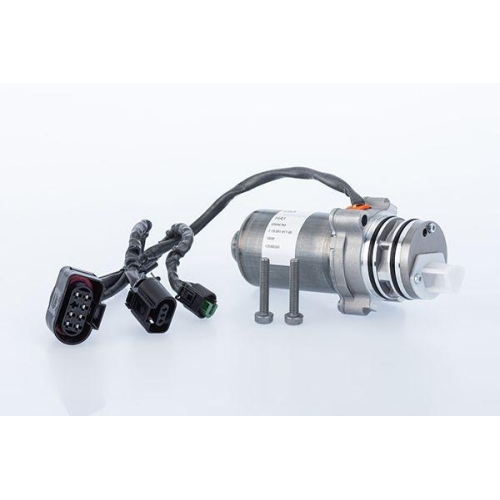 BorgWarner Pumpe, Lamellenkupplung (Allradantrieb) OE-Version/Erstausr&uuml;stung DS2001260
