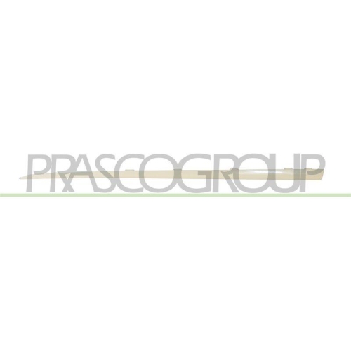 PRASCO Zier-/Schutzleiste, T&uuml;r RN7001414
