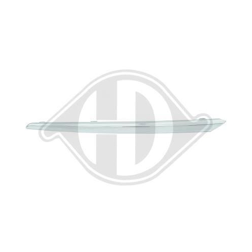 DIEDERICHS Zier-/Schutzleiste, K&uuml;hlergitter 6660043