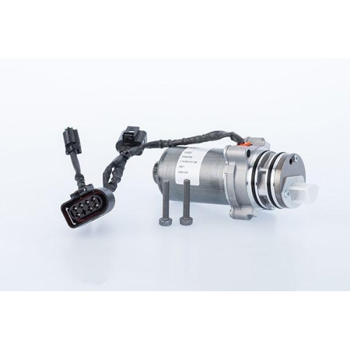 BorgWarner Pumpe, Lamellenkupplung (Allradantrieb) OE-Version/Erstausr&uuml;stung DS2001261