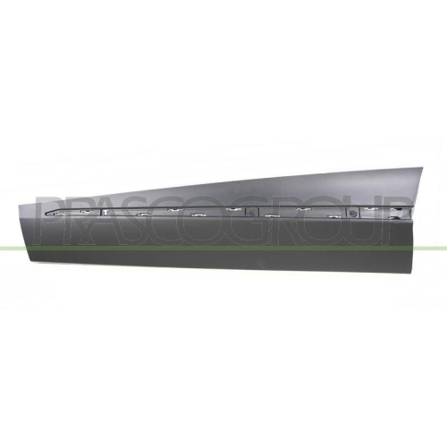 PRASCO Zier-/Schutzleiste, T&uuml;r RN7001424