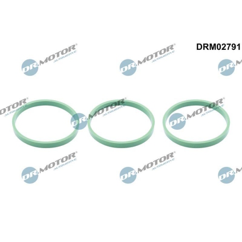 Dr.Motor Automotive Dichtung, Ansaugkr&uuml;mmer DRM02791