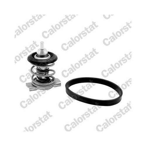 CALORSTAT by Vernet Thermostat, K&uuml;hlmittel TH9283.88J