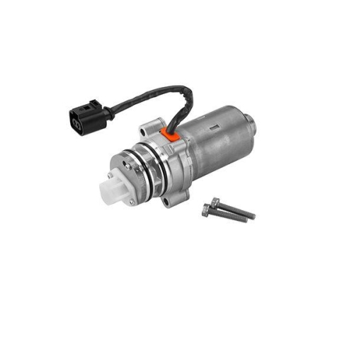 BorgWarner Pumpe, Lamellenkupplung (Allradantrieb) OE-Version/Erstausr&uuml;stung DS2002774