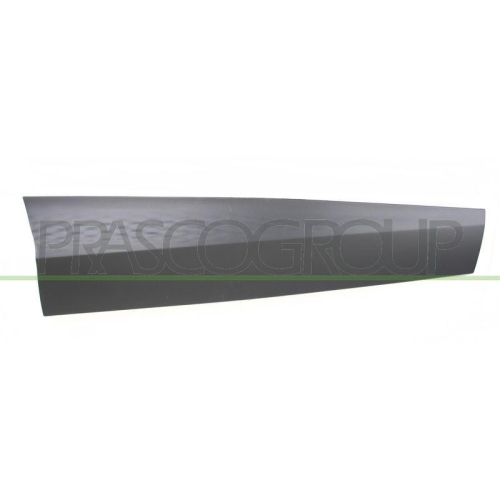PRASCO Zier-/Schutzleiste, T&uuml;r RN7001433