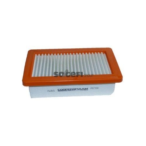 CoopersFiaam Luftfilter PA7304