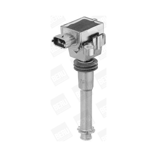 BorgWarner (BERU) Z&uuml;ndspule ZS311