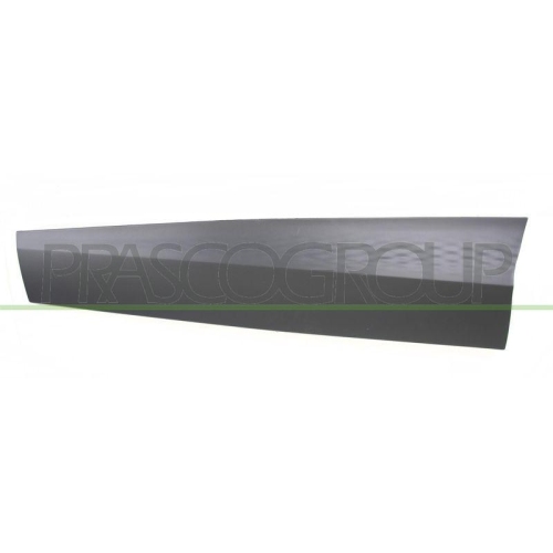 PRASCO Zier-/Schutzleiste, T&uuml;r RN7001434