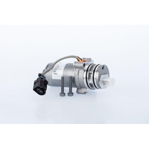 BorgWarner Pumpe, Lamellenkupplung (Allradantrieb) OE-Version/Erstausr&uuml;stung DS4601410015