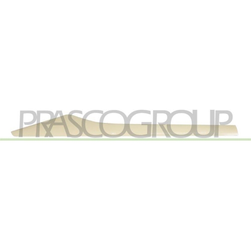 PRASCO Zier-/Schutzleiste, T&uuml;r RN7001463