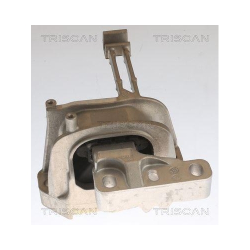 TRISCAN Lagerung, Motor
