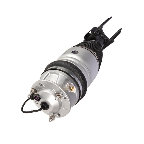 Luftfederbein 1170-01-3905 Miessler Automotive