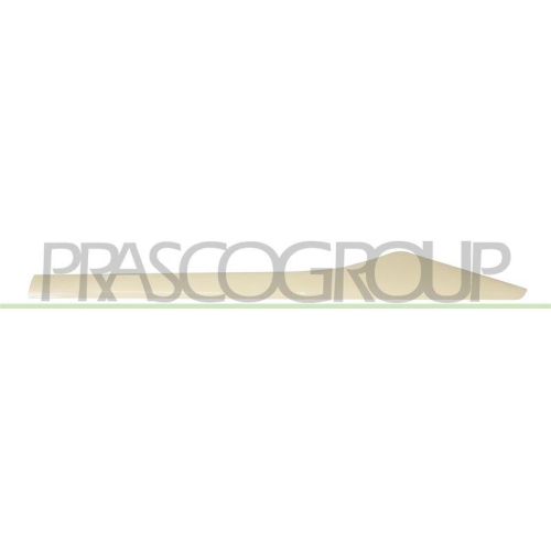PRASCO Zier-/Schutzleiste, T&uuml;r RN7001464