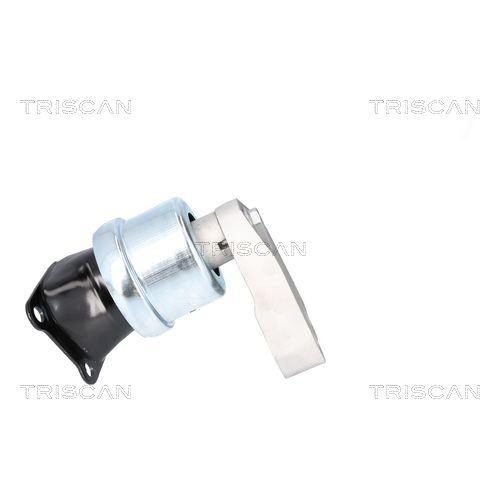 TRISCAN Lagerung, Motor
