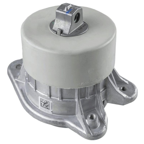 LEMFÖRDER Lagerung, Motor