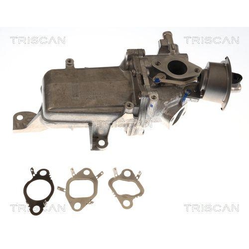 TRISCAN AGR-Ventil 8813 25048