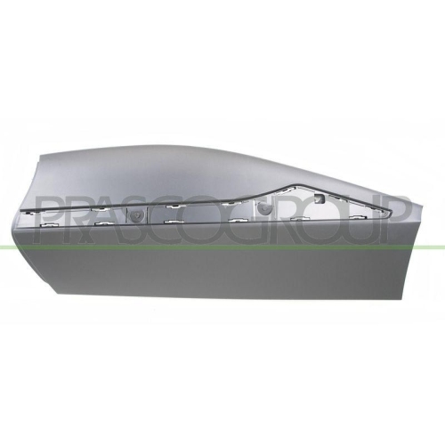 PRASCO Zier-/Schutzleiste, T&uuml;r RN7001474