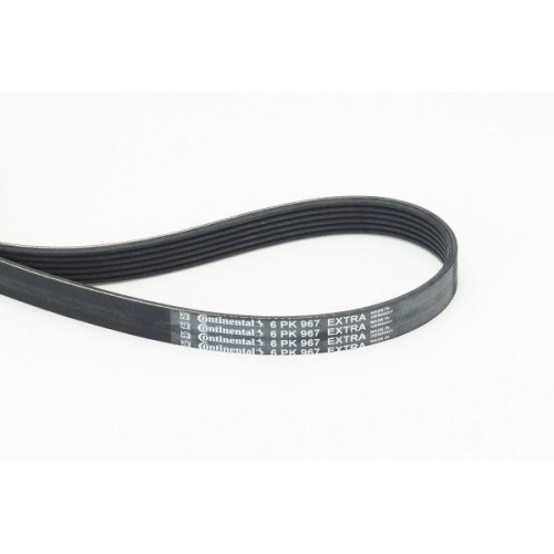CONTINENTAL CTAM Keilrippenriemen 6PK967 EXTRA