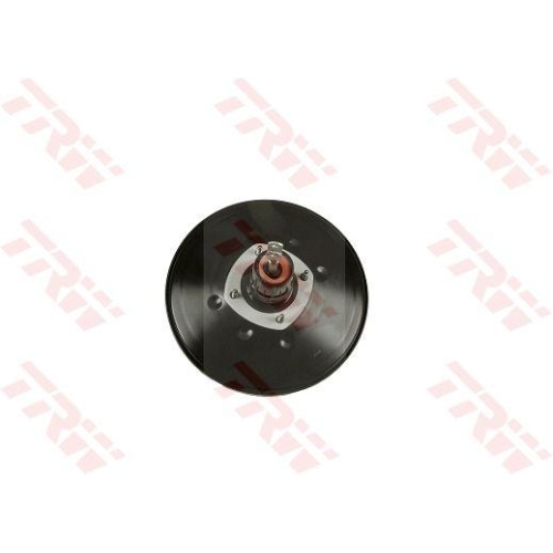 TRW Bremskraftverst&auml;rker PSA584