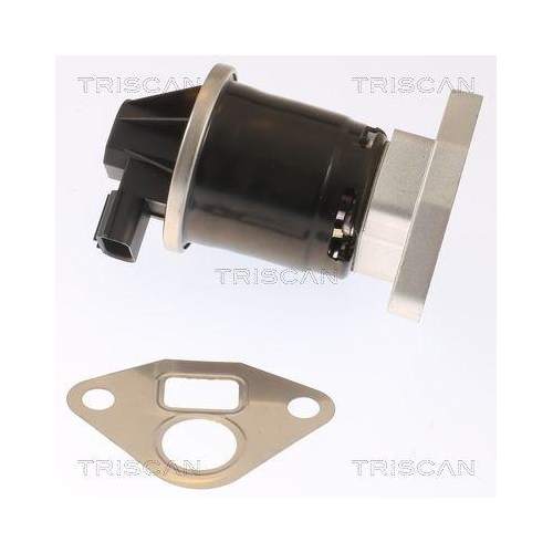 TRISCAN AGR-Ventil 8813 40003