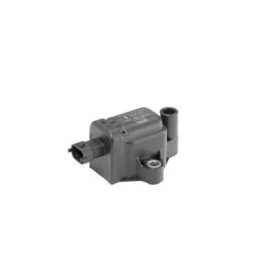 BorgWarner (BERU) Z&uuml;ndspule ZS439