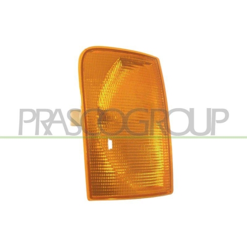 PRASCO Blinkleuchte TYC VG9504003