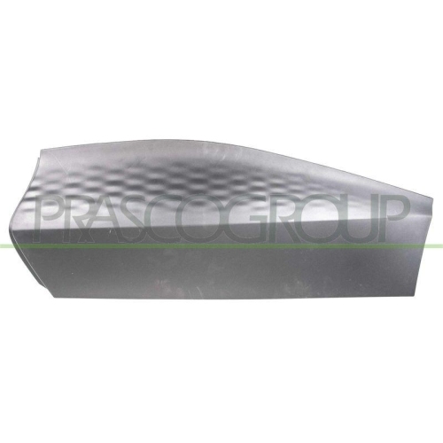 PRASCO Zier-/Schutzleiste, T&uuml;r RN7001484
