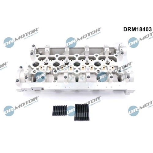 Dr.Motor Automotive Zylinderkopf DRM18403
