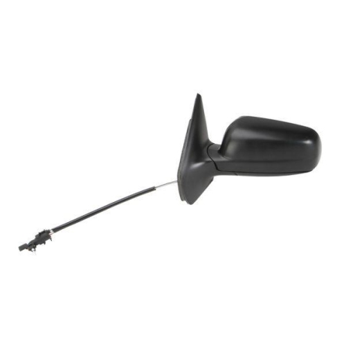 BLIC Außenspiegel 5402-04-1111127P