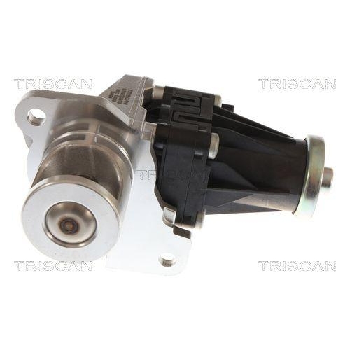 TRISCAN AGR-Ventil 8813 10060