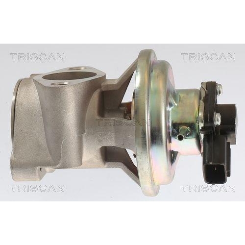 TRISCAN AGR-Ventil 8813 42003