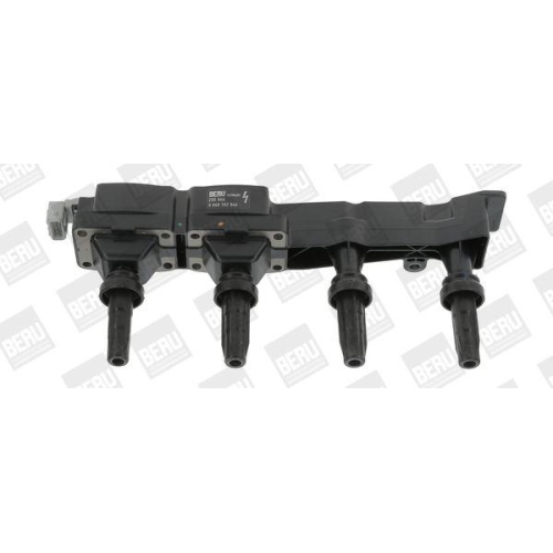 BorgWarner (BERU) Z&uuml;ndspule ZSE046