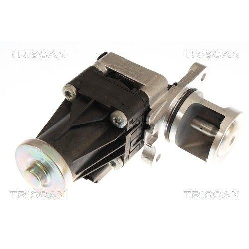 TRISCAN AGR-Ventil 8813 16074