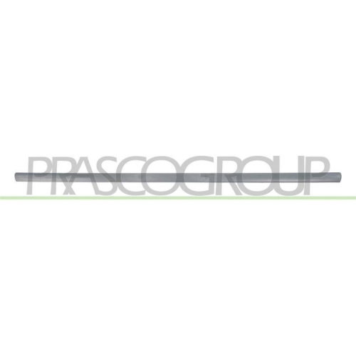 PRASCO Zier-/Schutzleiste, T&uuml;r VG0211413