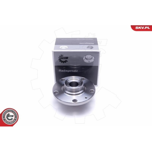 ESEN SKV Radlagersatz